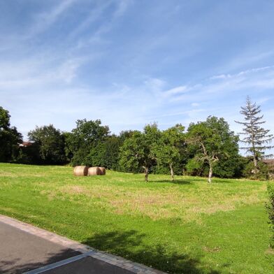 Terrain 2317 m²