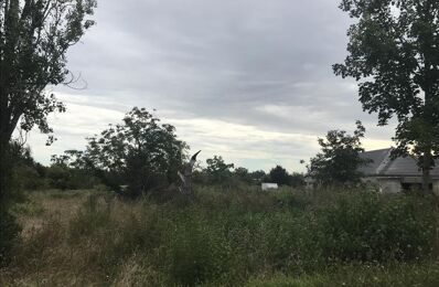 terrain  pièces 1630 m2 à vendre à Mehun-sur-Yèvre (18500)