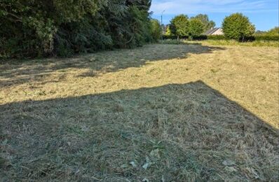 terrain  pièces 1000 m2 à vendre à Couddes (41700)