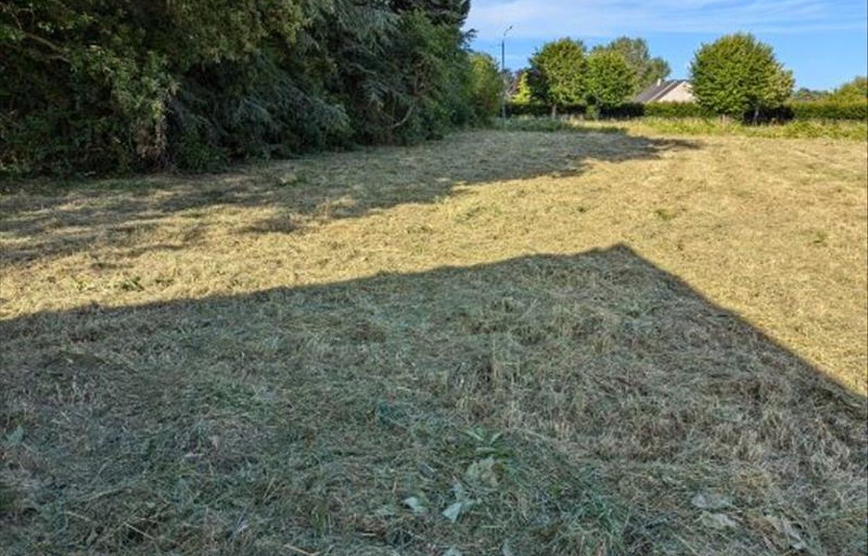 terrain  pièces 1000 m2 à vendre à Couddes (41700)