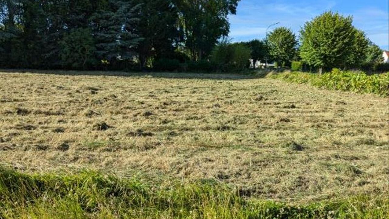 terrain  pièces 1000 m2 à vendre à Couddes (41700)