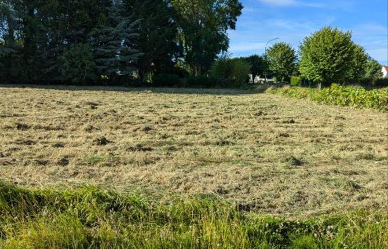 terrain  pièces 1000 m2 à vendre à Couddes (41700)