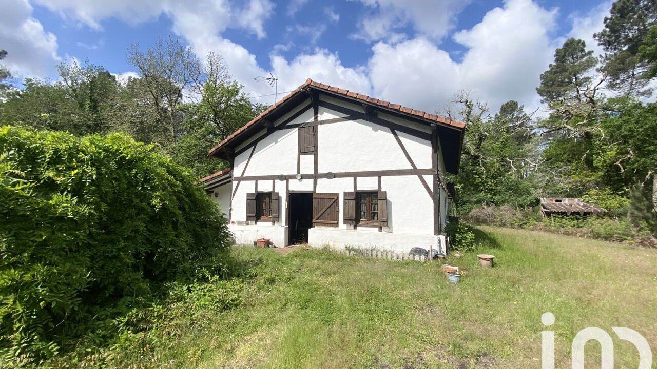 maison 4 pièces 90 m2 à vendre à Arue (40120)