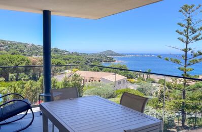 vente appartement 535 000 € à proximité de Ajaccio (20000)