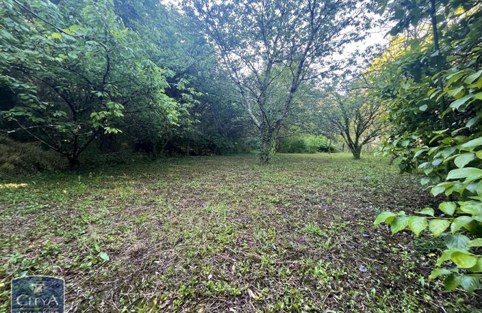 Vente terrain  1060 m² Chasseneuil-du-Poitou (86360) — photo 3