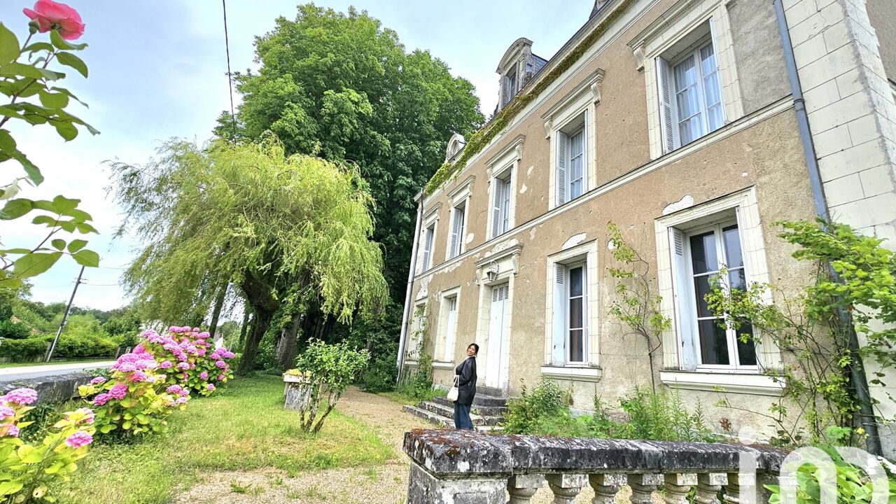 maison 10 pièces 318 m2 à vendre à Seigy (41110)