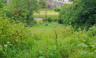 Terrain  586 m² à vendre à Fains-Véel (55000)