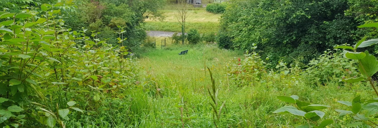 Terrain  586 m² à vendre à Fains-Véel (55000)