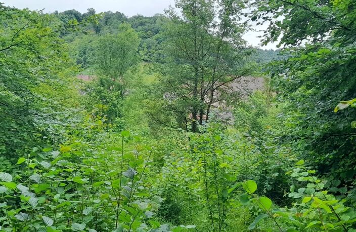 Terrain de loisir proche centre ville FAINS — photo 2