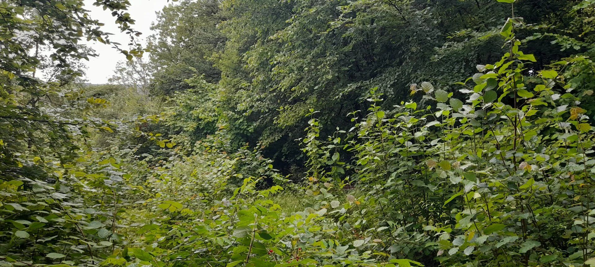 Photo Terrain de loisir proche centre ville FAINS image 3/3