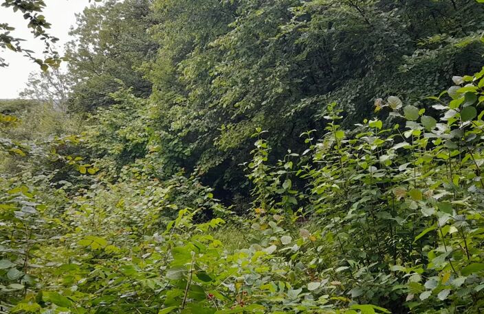Terrain de loisir proche centre ville FAINS — photo 4