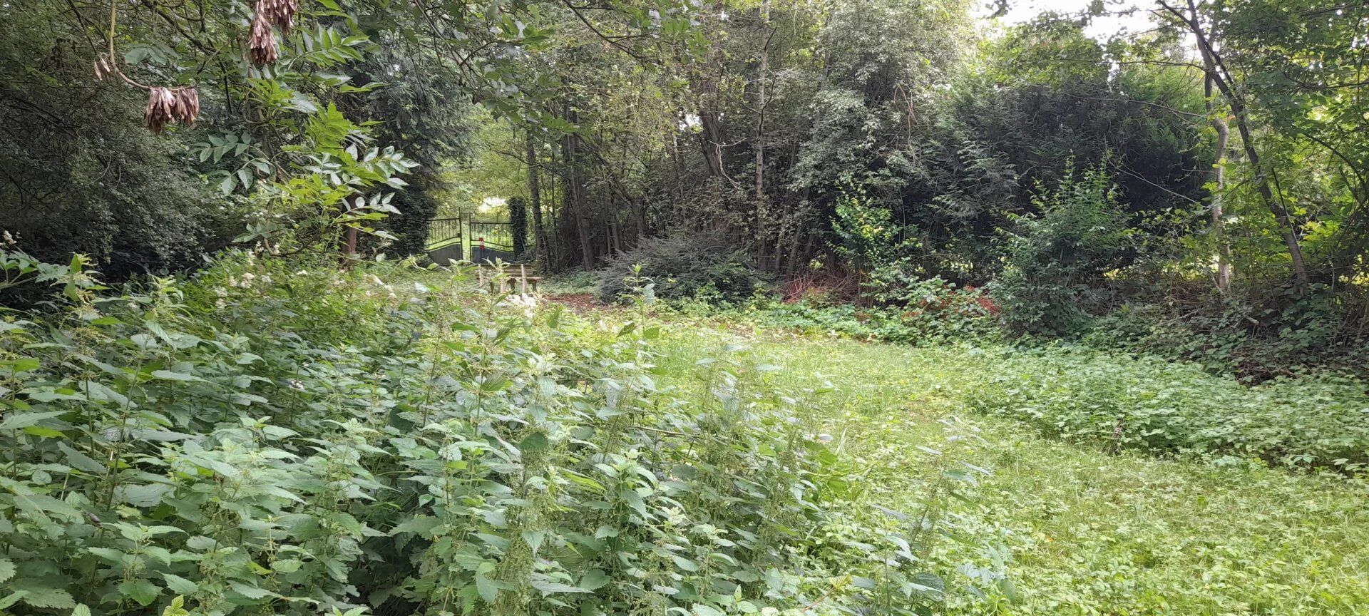 Terrain de loisir proche Bar-Le-Duc