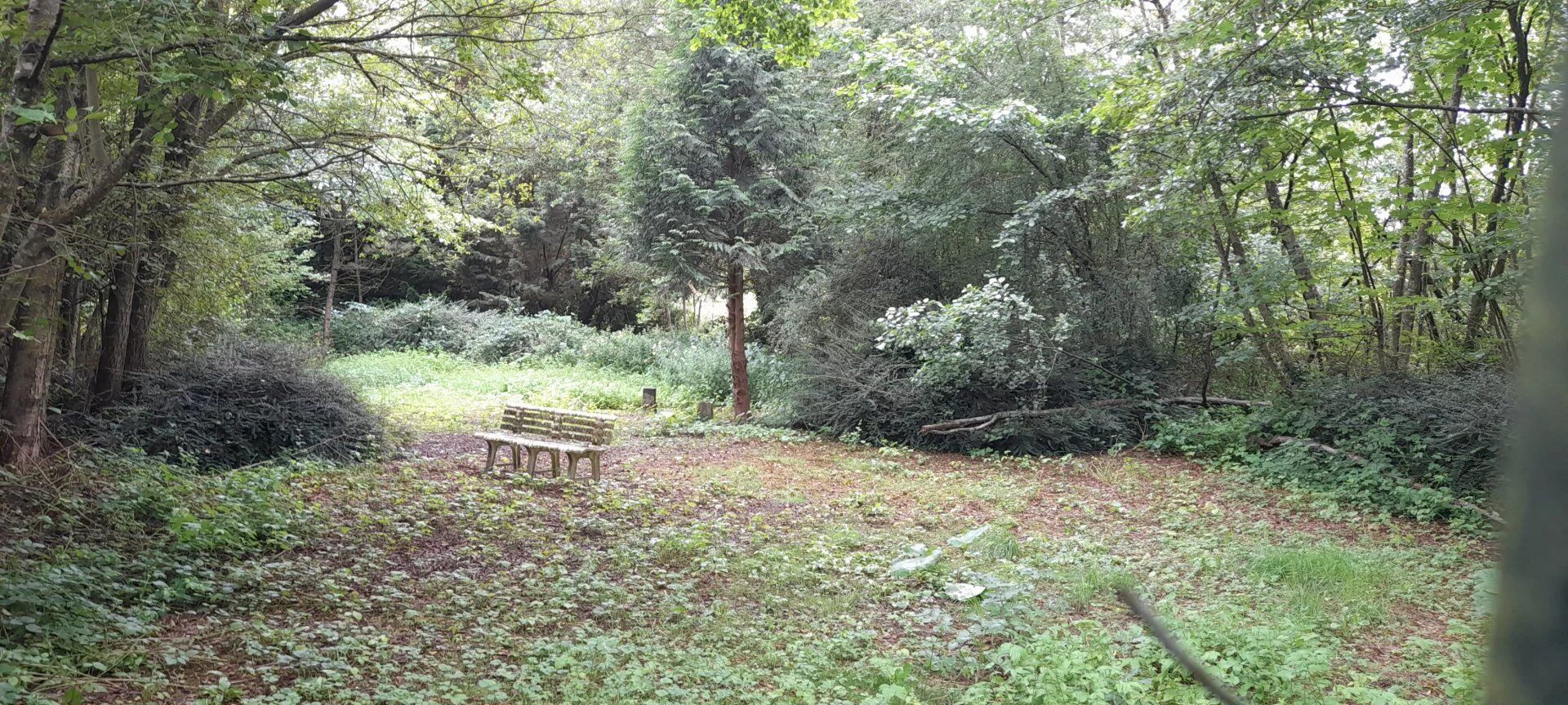 Photo Terrain de loisir proche Bar-Le-Duc image 2/3