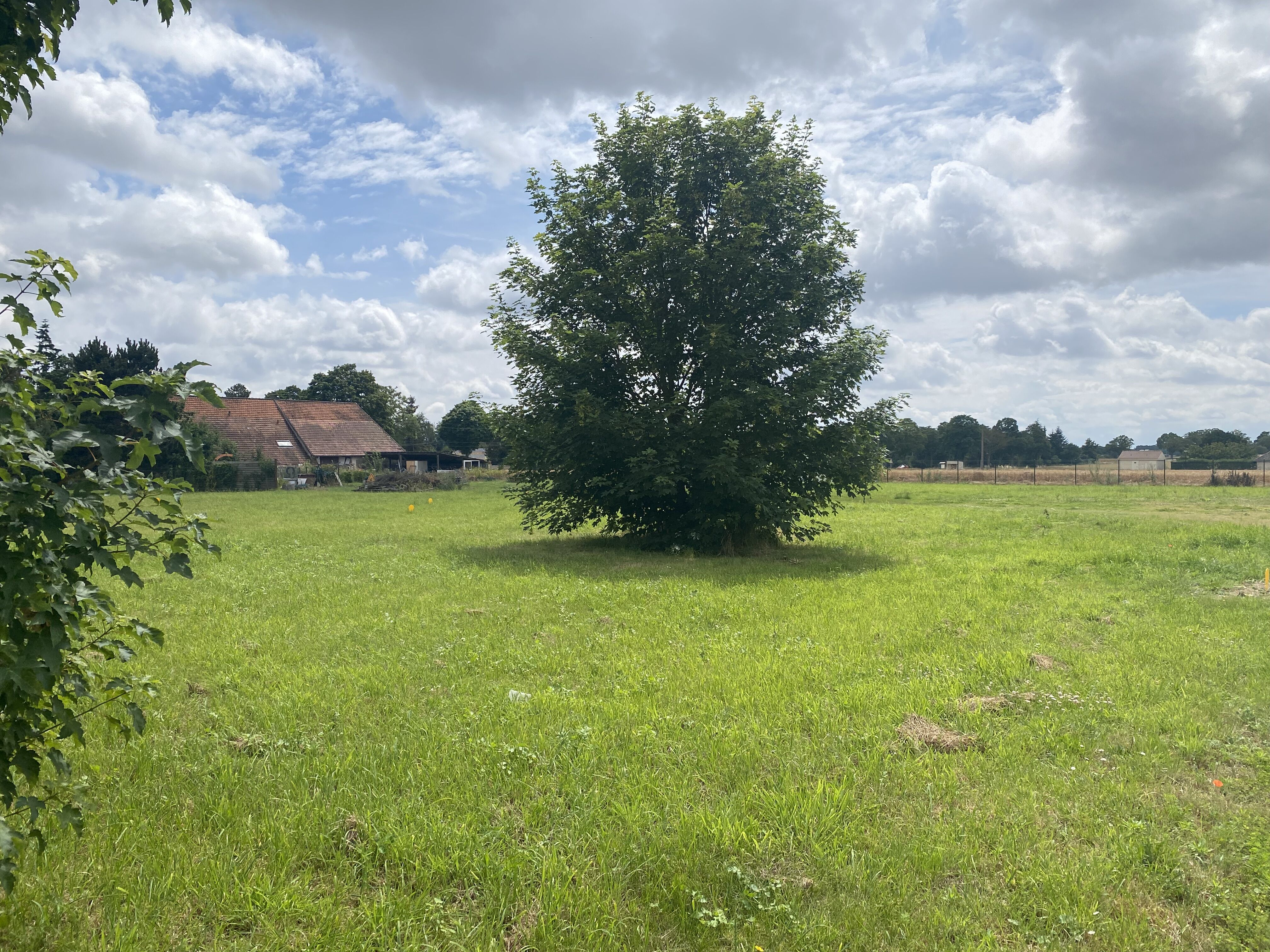 Photo Houdan proche centre 1540m2  image 1/3