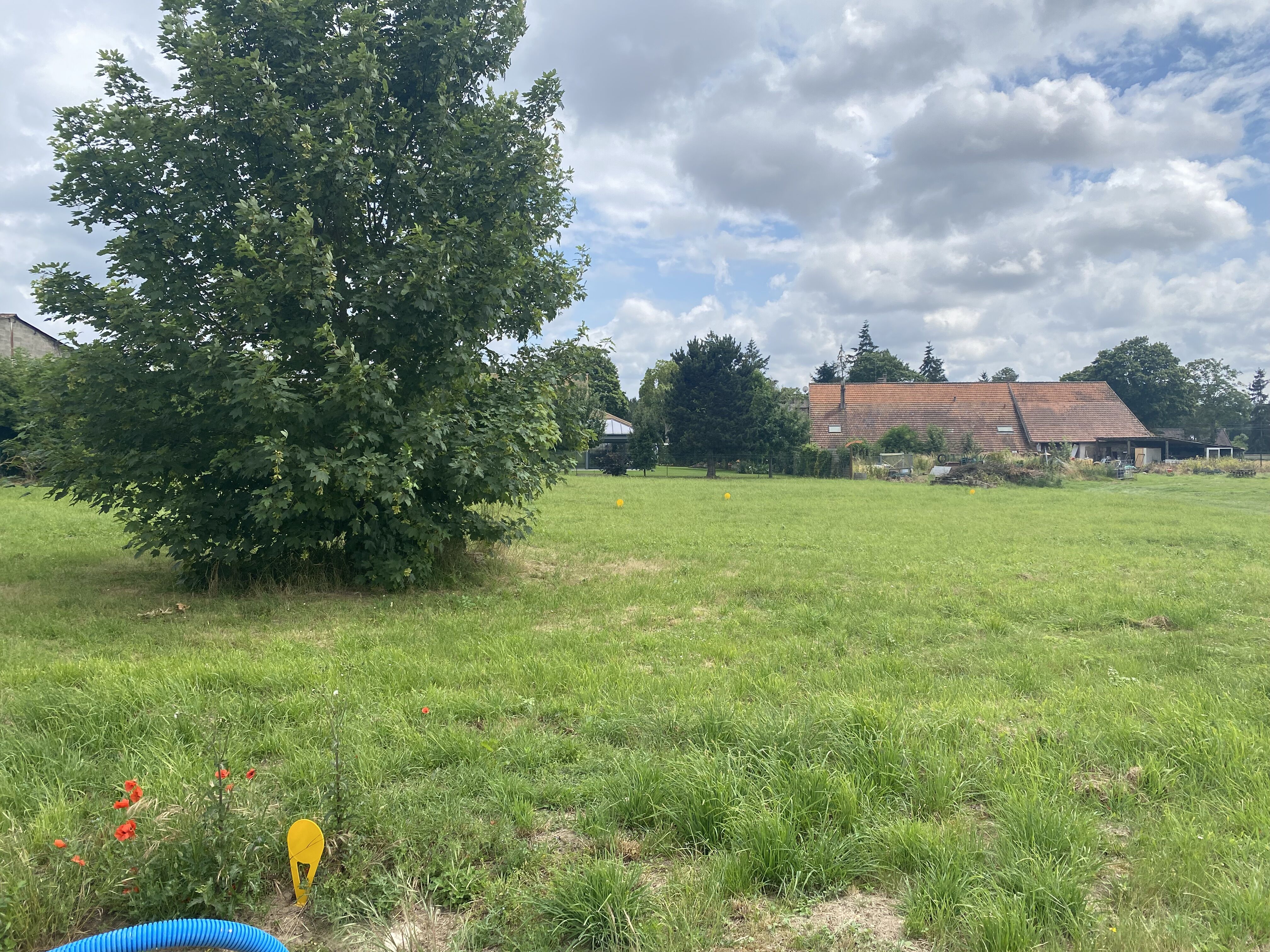 Photo Houdan proche centre 1540m2  image 2/3