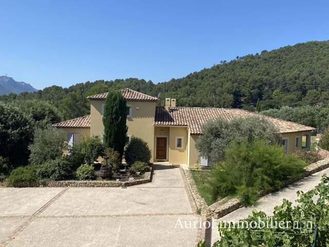 AURIOL - Propriété 220 m² + sous sol de 180 m² aménagé — photo du bien