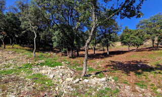 Terrain  1502 m² à vendre à Rochegude (26790)