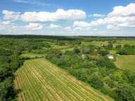 Superbe propriété de 6ha5, proche d'Uzès — photo 3