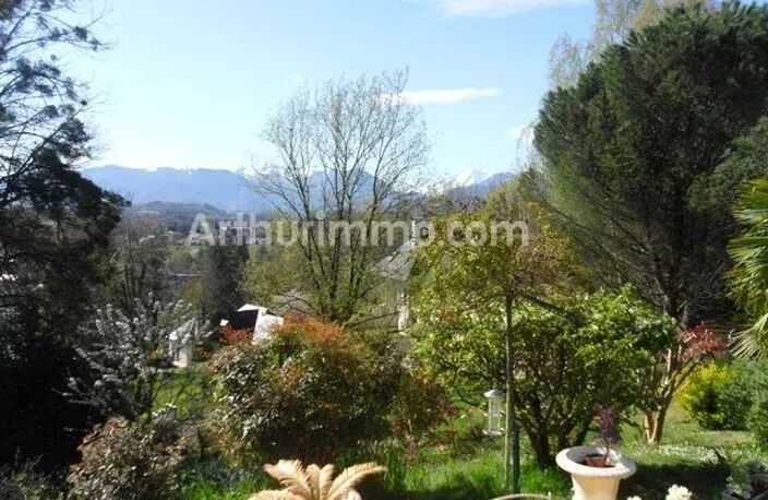 NAY VUE PYRENEES — photo 3