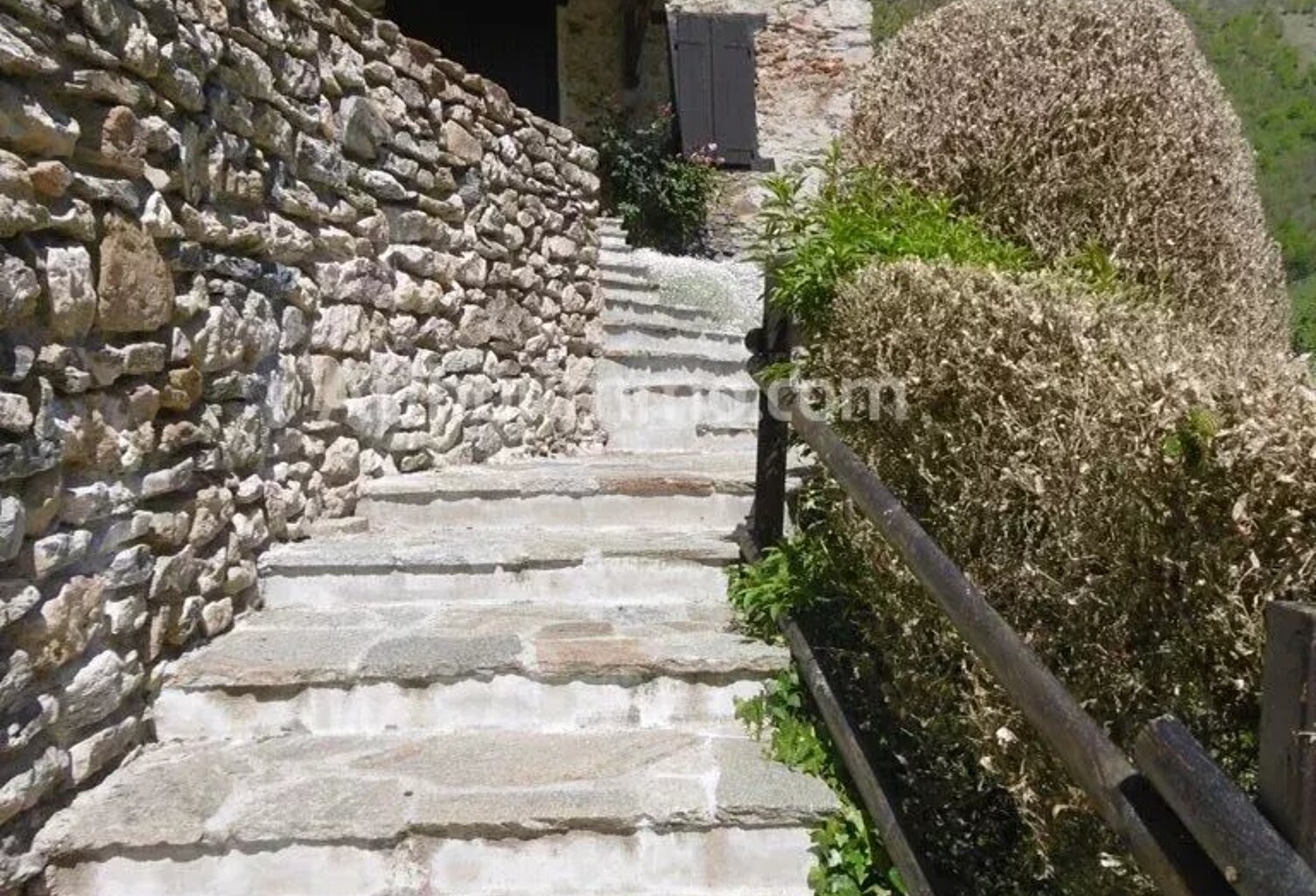 NICHÉE FACE AUX PYRÉNÉES — photo 1