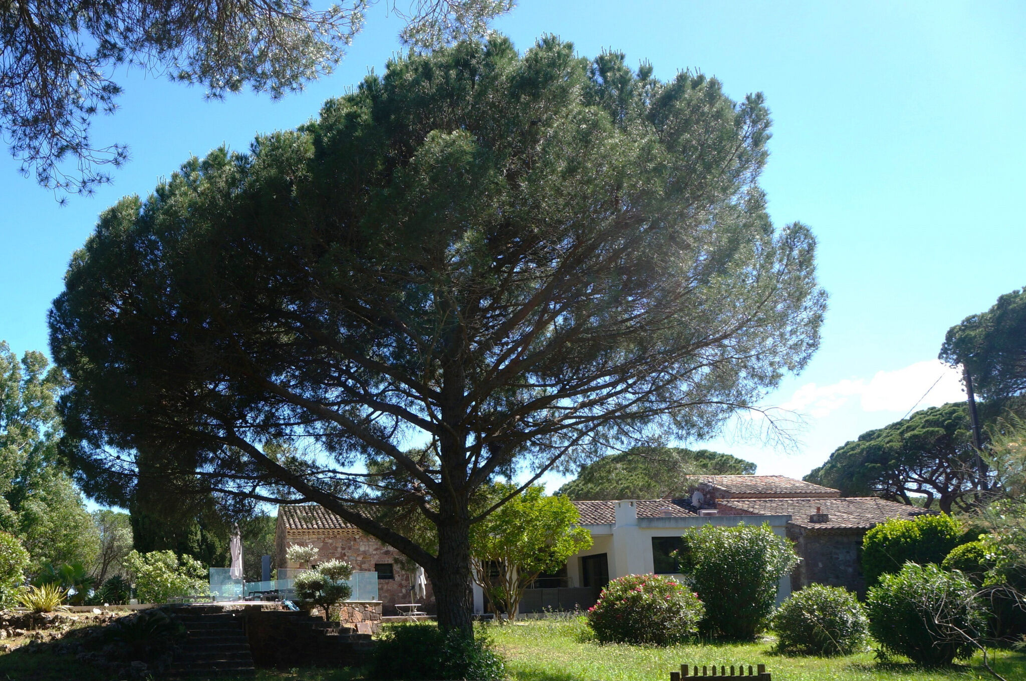 Puget-sur-Argens Maison 7 pièces 280 m²