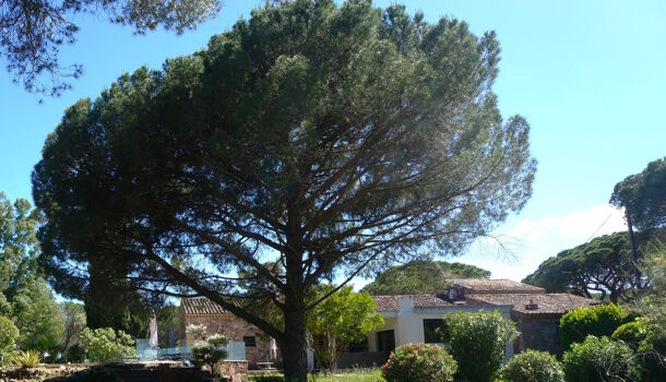 Villa / Maison 7 pièces  à vendre Puget-sur-Argens 83480