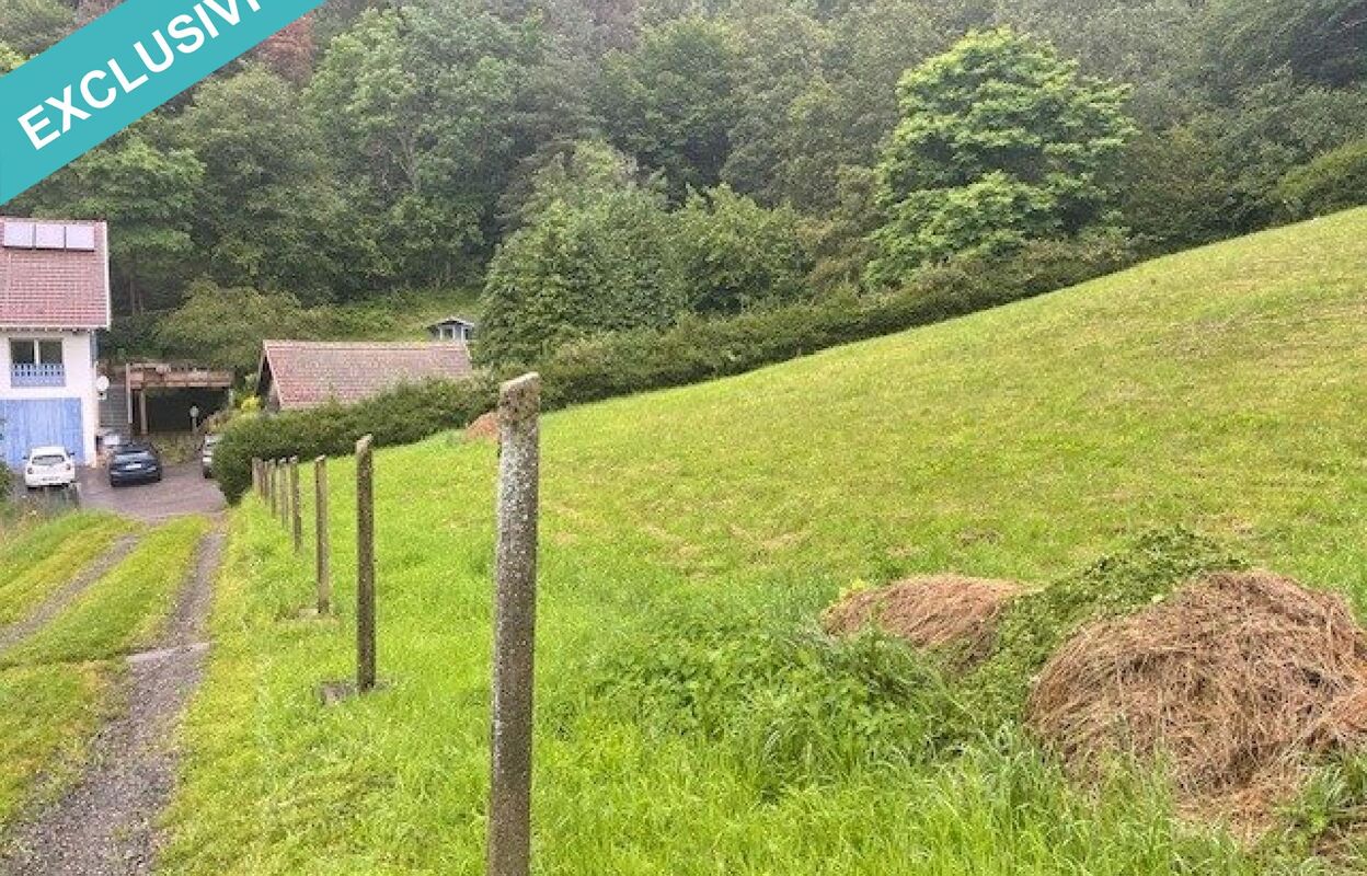 terrain  pièces 1328 m2 à vendre à Saint-Dié-des-Vosges (88100)