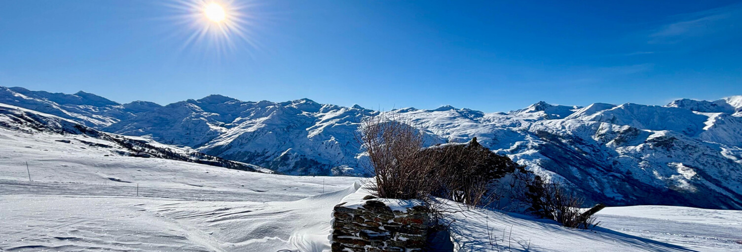 Maison 1 Pièce 20 m² à vendre à Les Belleville (73440)