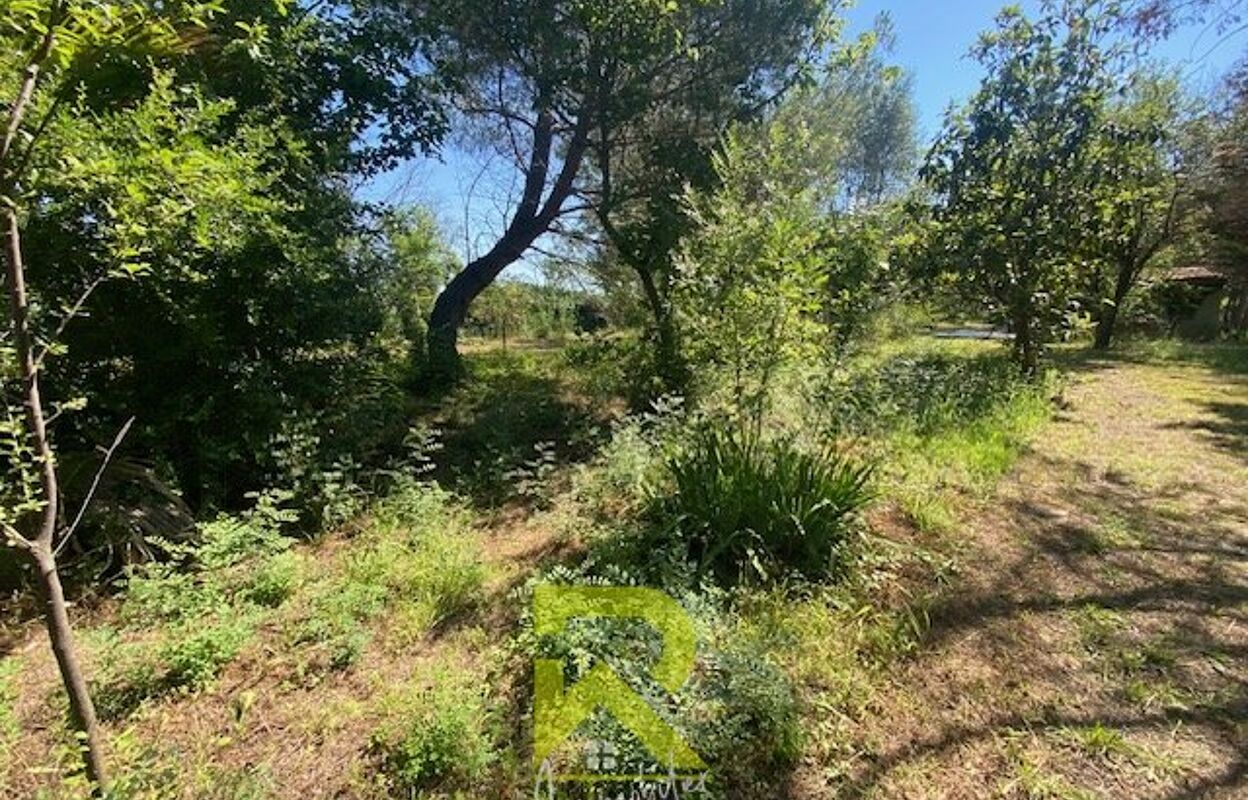 terrain  pièces 3700 m2 à vendre à Florensac (34510)