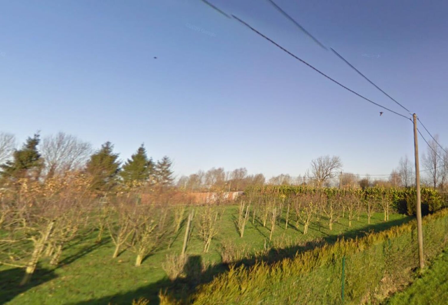 A VENDRE TERRAIN A BATIR SITUE  EN CAMPAGNE DE LA BASSEE — photo 1