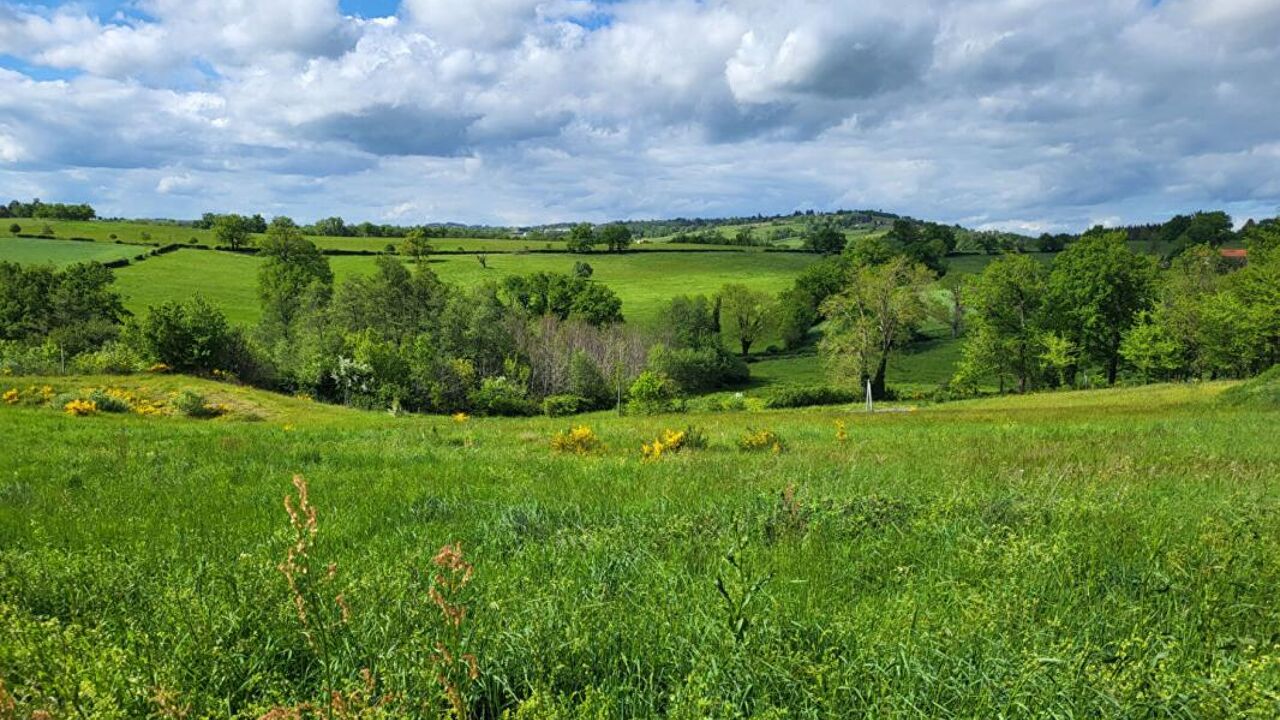 terrain  pièces 685 m2 à vendre à Saint-Marcel-de-Félines (42122)