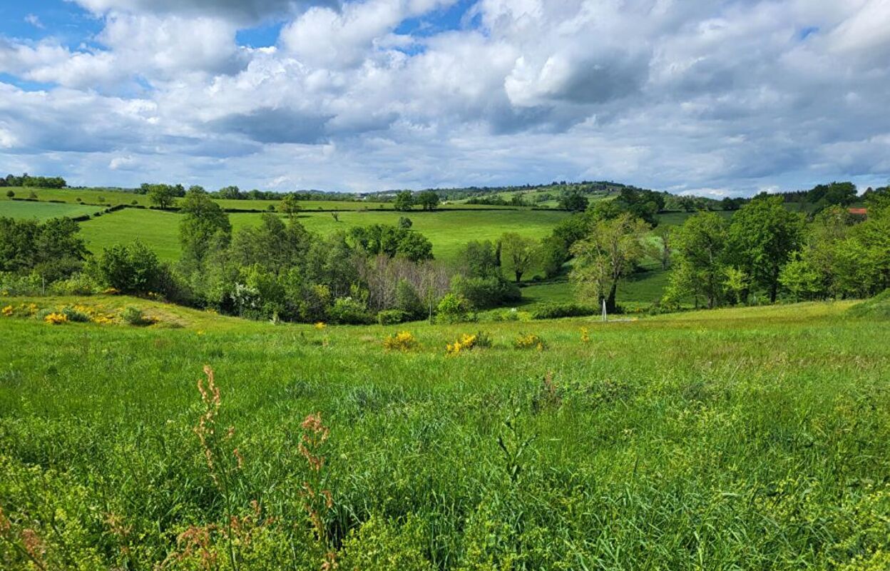 terrain  pièces 685 m2 à vendre à Saint-Marcel-de-Félines (42122)