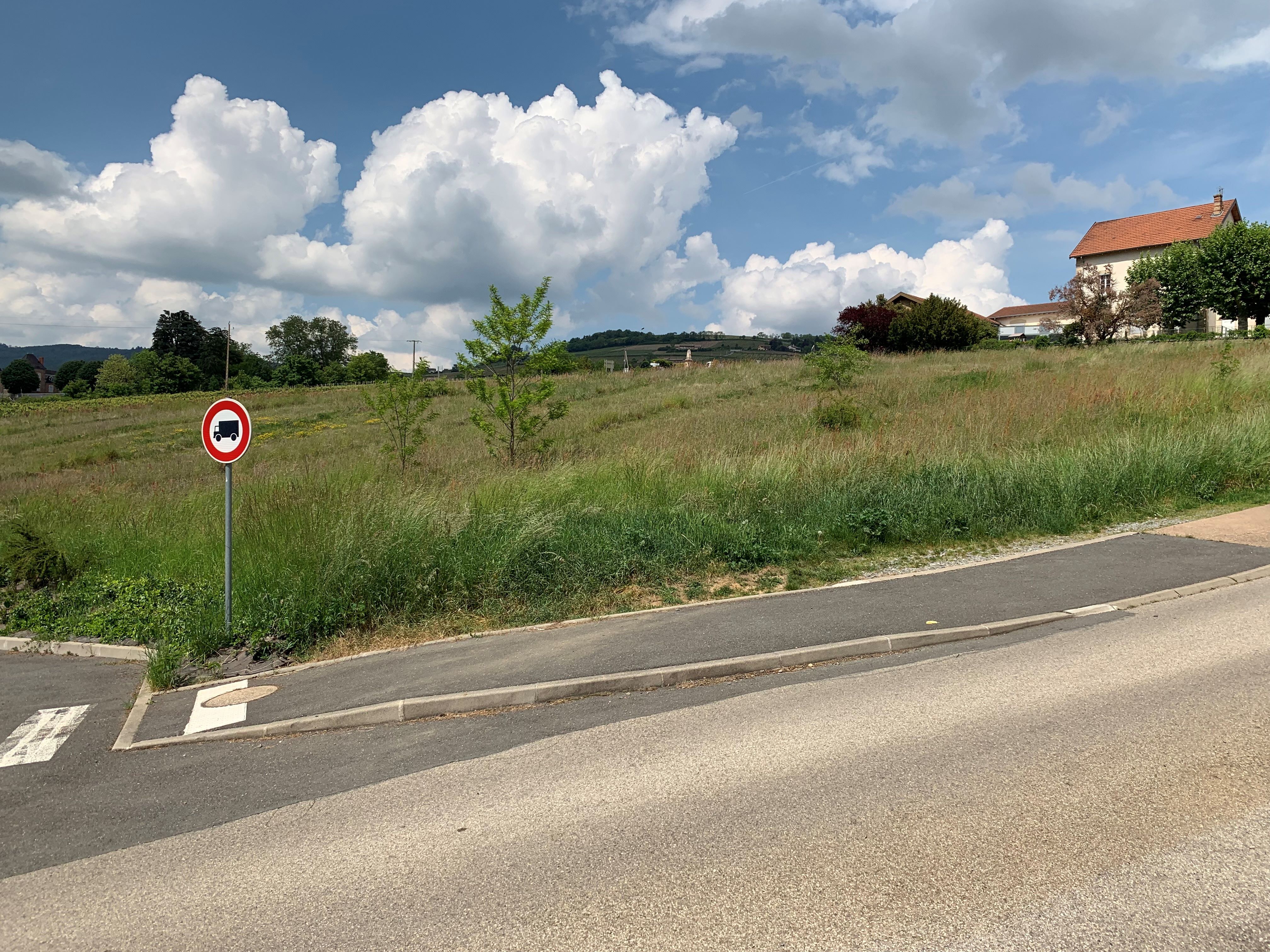 Agence immobilière de Anthema