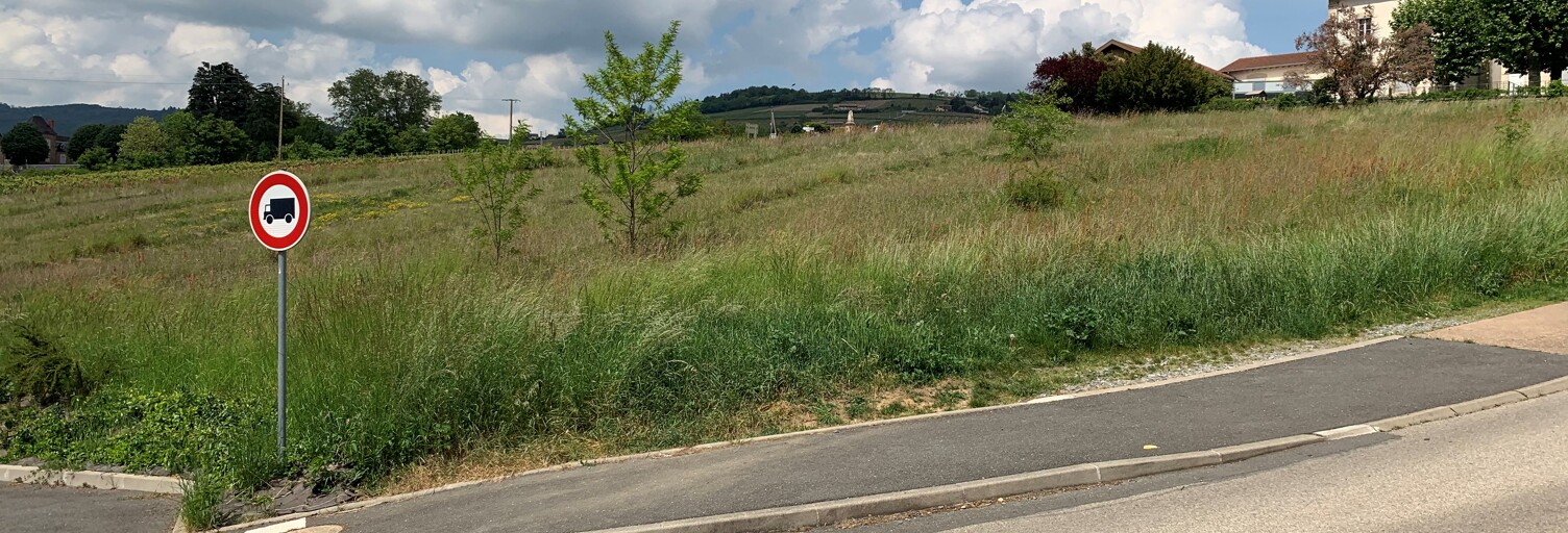 Terrain  305 m² à vendre à Juliénas (69840)