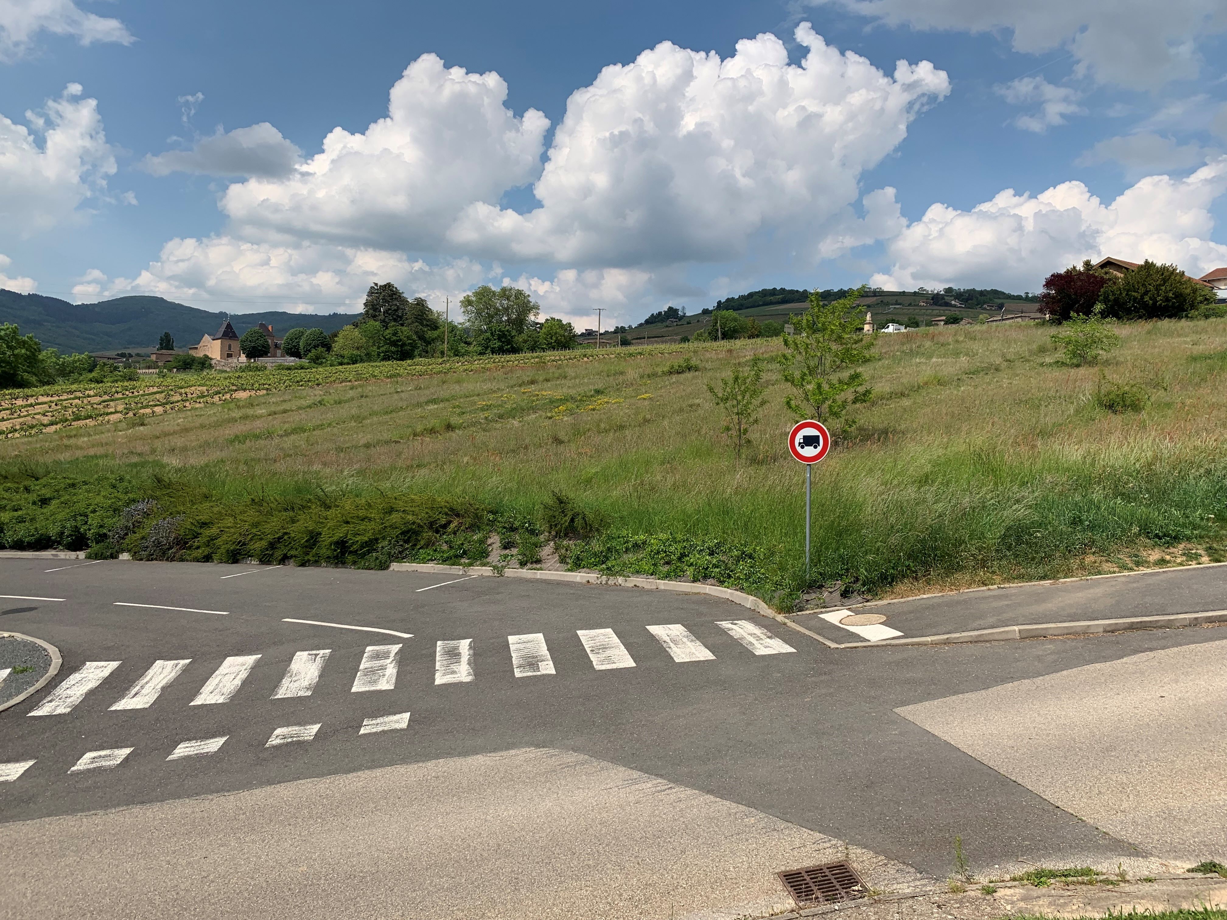 Julienas terrain viabilisé 305 m²
