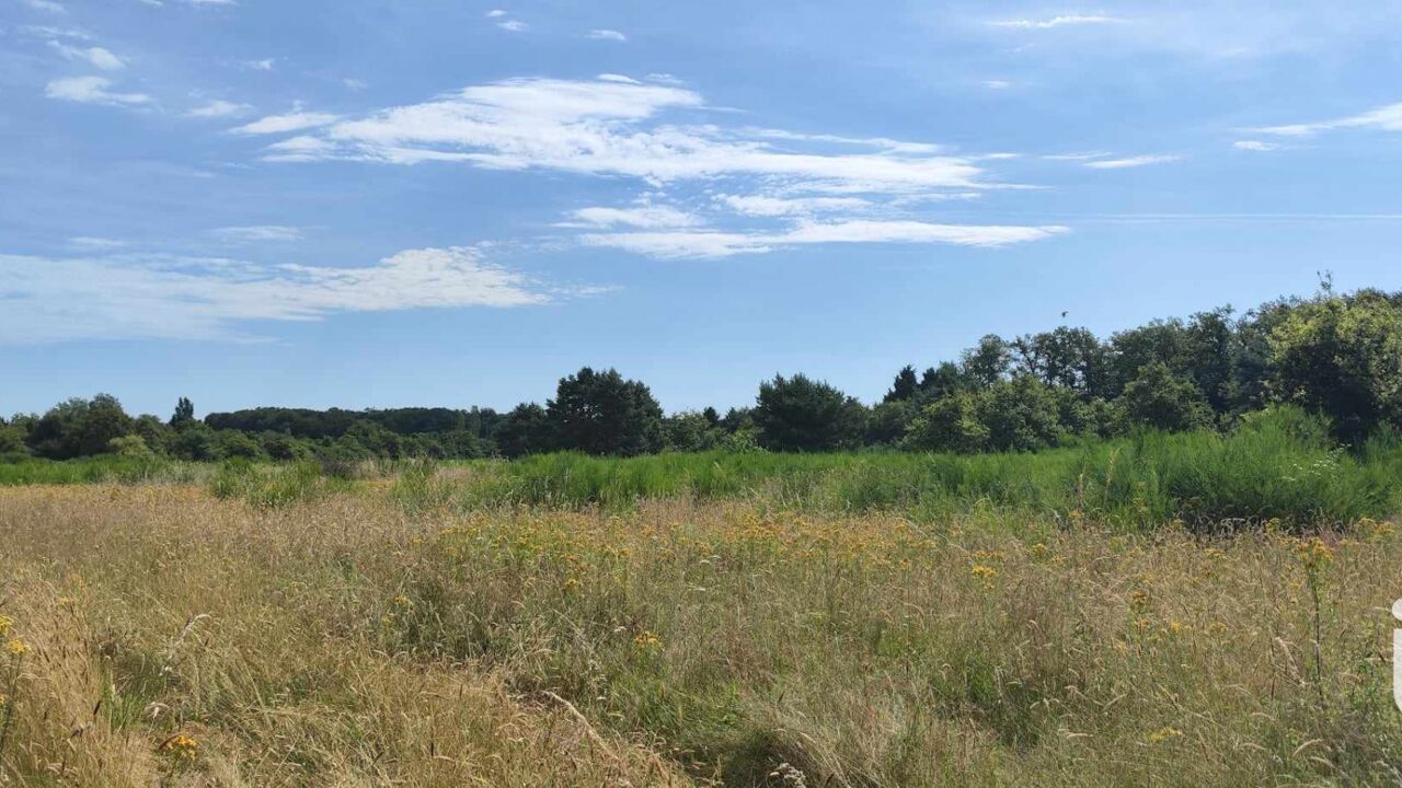 terrain  pièces 37258 m2 à vendre à Ouzouer-sur-Loire (45570)