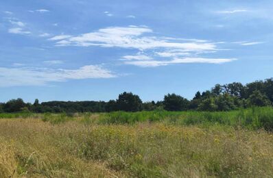 terrain  pièces 38184 m2 à vendre à Ouzouer-sur-Loire (45570)