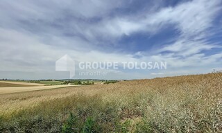 Photo N° 4