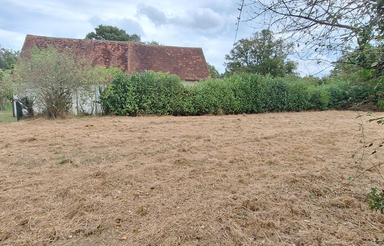 terrain  pièces 1383 m2 à vendre à Mosnay (36200)