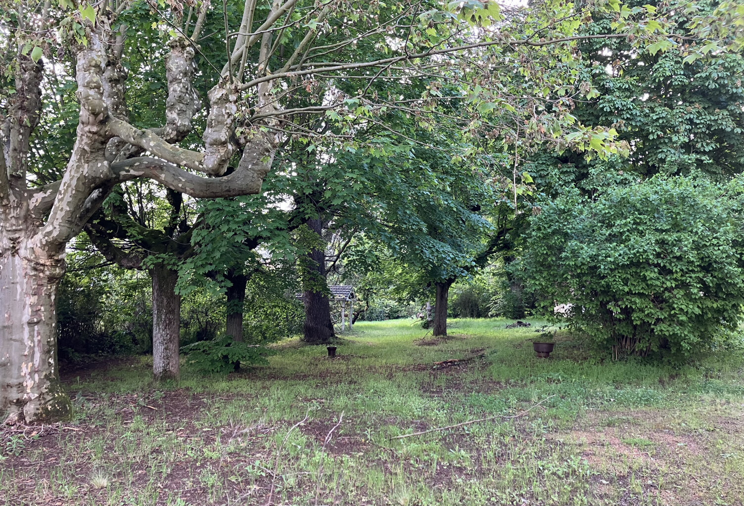 T2 rez-de-jardin à rénover — photo 1