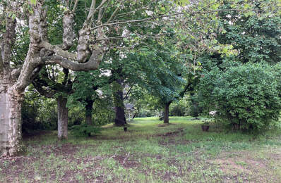 T2 rez-de-jardin à rénover — photo du bien