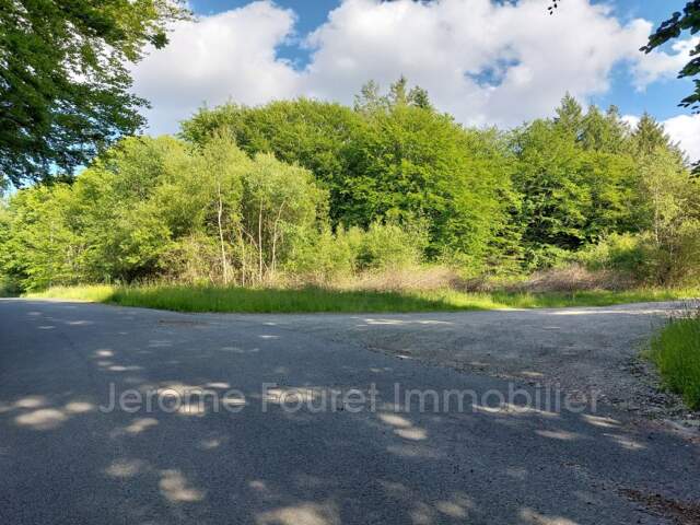 vente terrain à bâtir — photo du bien