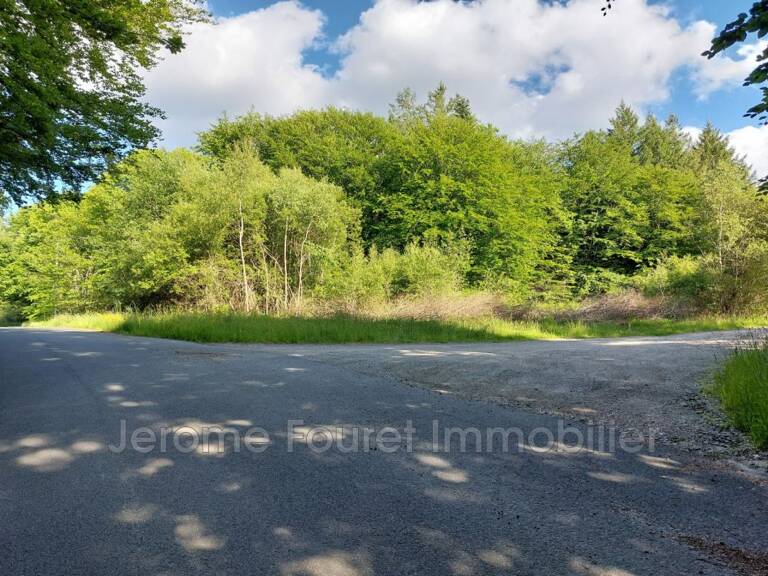 vente terrain à bâtir — photo 1