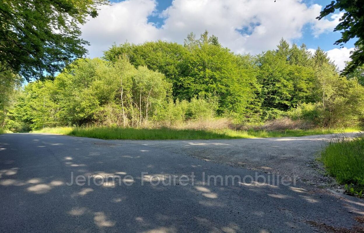 terrain  pièces 2229 m2 à vendre à Marcillac-la-Croisille (19320)