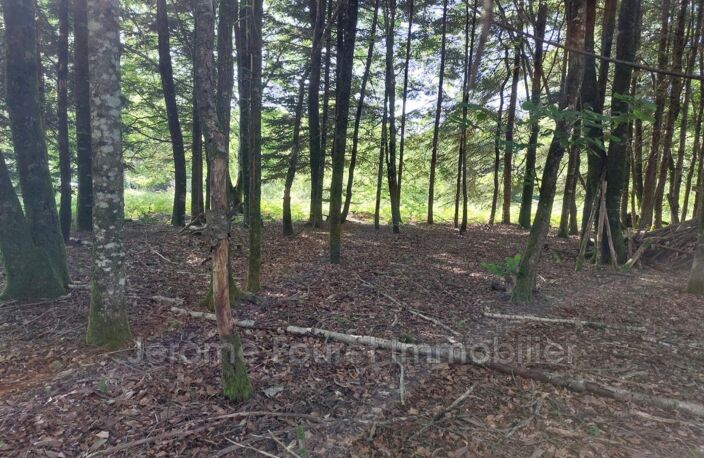 vente terrain à bâtir — photo 3