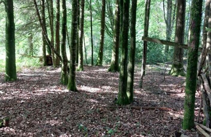 vente terrain à bâtir — photo 4