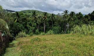 Terrain  2004 m² à vendre à Ducos (97224)