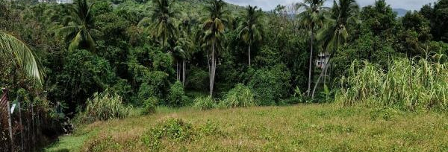 Terrain  2004 m² à vendre à Ducos (97224)