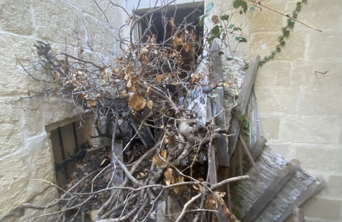 Maison de ville debut 20 s, 160m2 avec une cour. REHABILITAT — photo 3