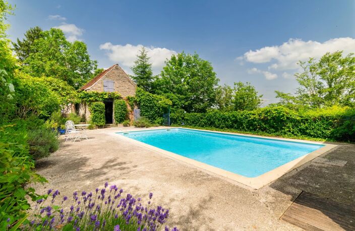 Bourgogne- Maison Bourgeoise de village — photo 3